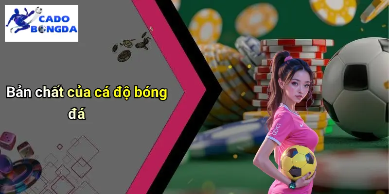 Bản chất của cá độ bóng đá