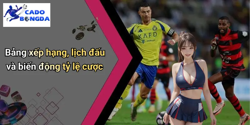 Bảng xếp hạng, lịch đấu và biến động tỷ lệ cược