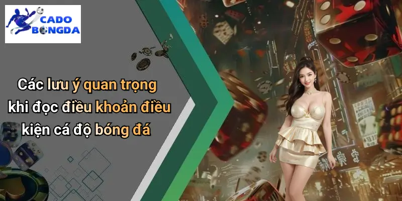 Các lưu ý quan trọng khi đọc điều khoản điều kiện cá độ bóng đá