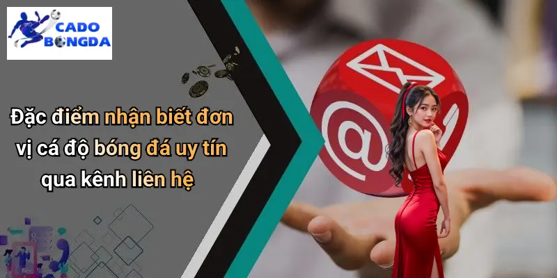 Đặc điểm nhận biết đơn vị cá độ bóng đá uy tín qua kênh liên hệ