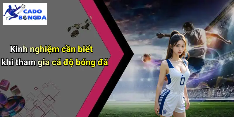 Kinh nghiệm cần biết khi tham gia cá độ bóng đá