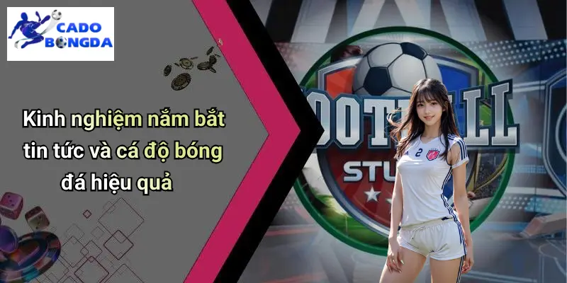 Kinh nghiệm nắm bắt tin tức và cá độ bóng đá hiệu quả