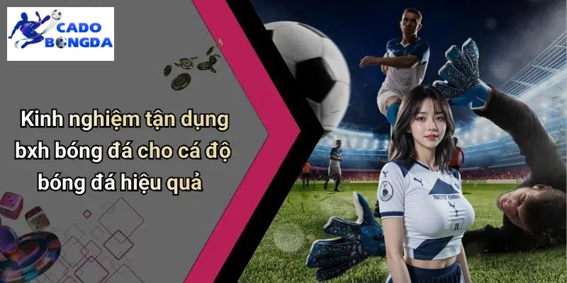 Kinh nghiệm tận dụng bxh bóng đá cho cá độ bóng đá hiệu quả