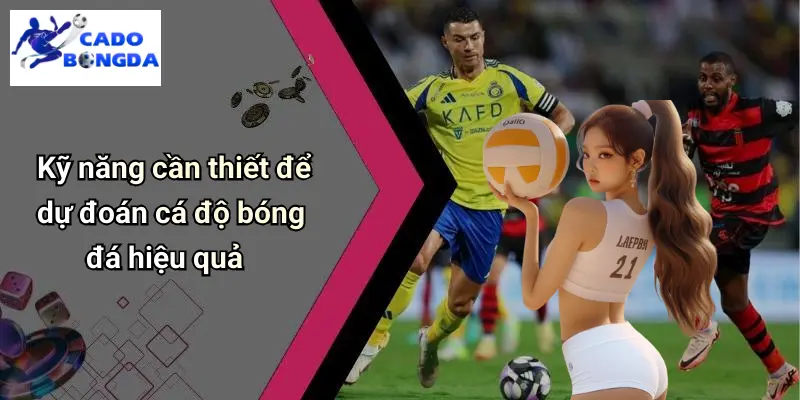 Kỹ năng cần thiết để dự đoán cá độ bóng đá hiệu quả
