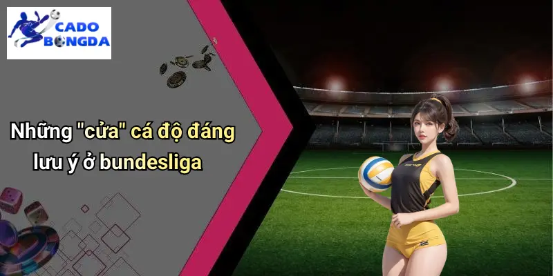 Tin Bóng Đá Bundesliga Chi Tiết: Kèo Hay Mỗi Vòng, Phân Tích Cá Độ 3 Những "cửa" cá độ đáng lưu ý ở bundesliga