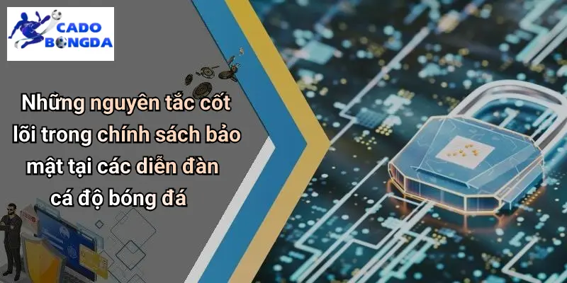 Những nguyên tắc cốt lõi trong chính sách bảo mật tại các diễn đàn cá độ bóng đá