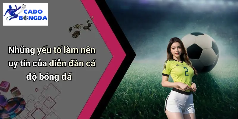 Những yếu tố làm nên uy tín của diễn đàn cá độ bóng đá