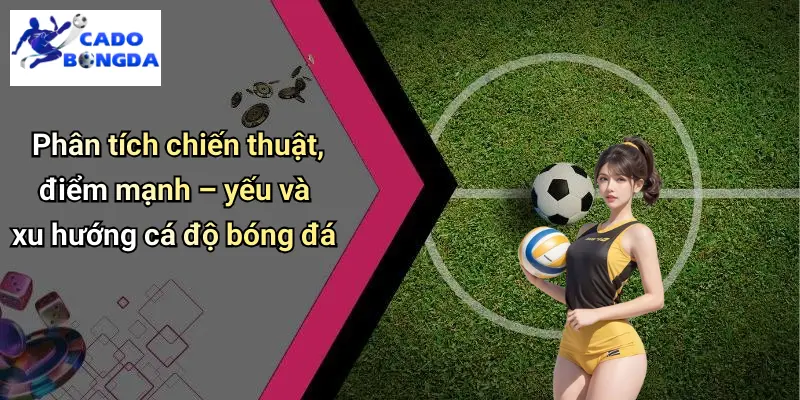 Phân tích chiến thuật, điểm mạnh – yếu và xu hướng cá độ bóng đá