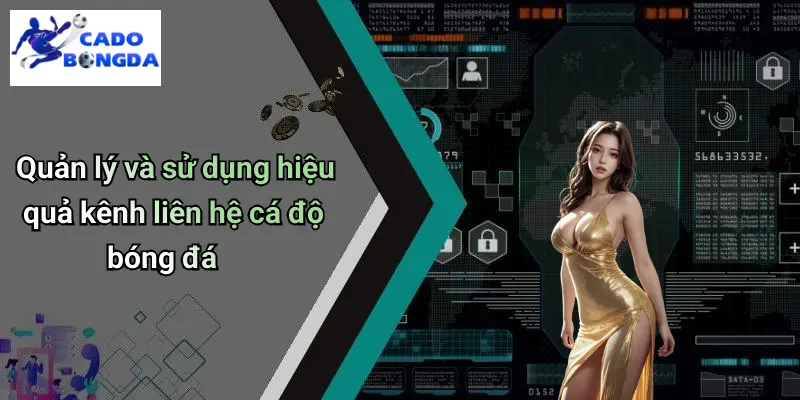 Quản lý và sử dụng hiệu quả kênh liên hệ cá độ bóng đá