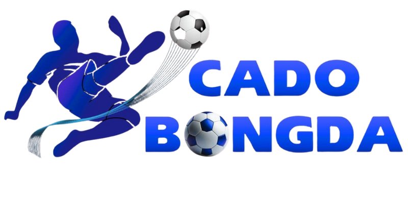 Cá Độ Bóng Đá