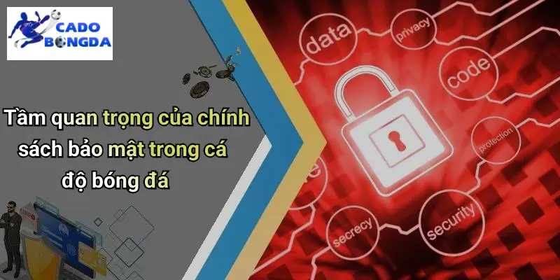 Tầm quan trọng của chính sách bảo mật trong cá độ bóng đá