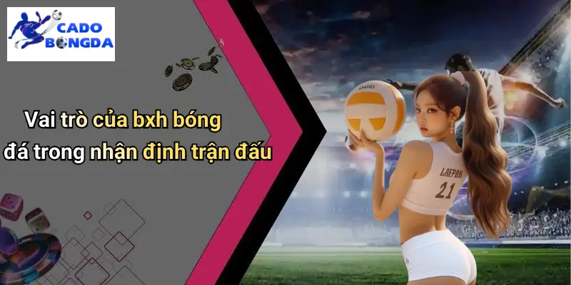Vai trò của bxh bóng đá trong nhận định trận đấu