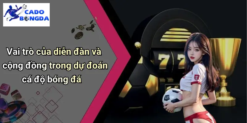 Vai trò của diễn đàn và cộng đồng trong dự đoán cá độ bóng đá