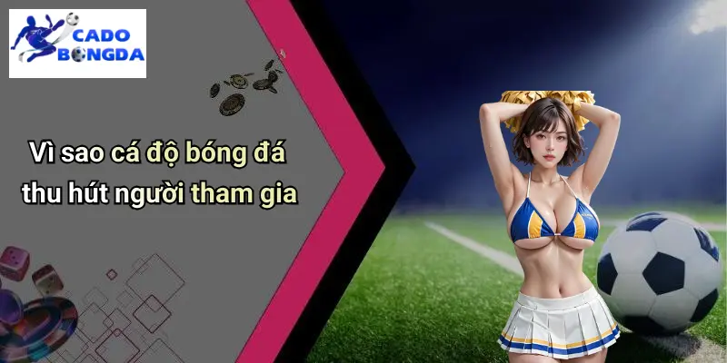 Vì sao cá độ bóng đá thu hút người tham gia