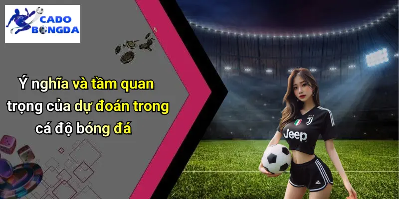 Ý nghĩa và tầm quan trọng của dự đoán trong cá độ bóng đá