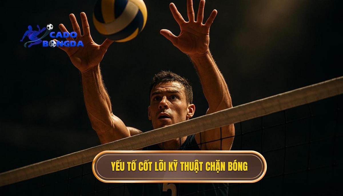 Các yếu tố cốt lõi cấu thành kỹ thuật đánh chặn bóng hoàn hảo