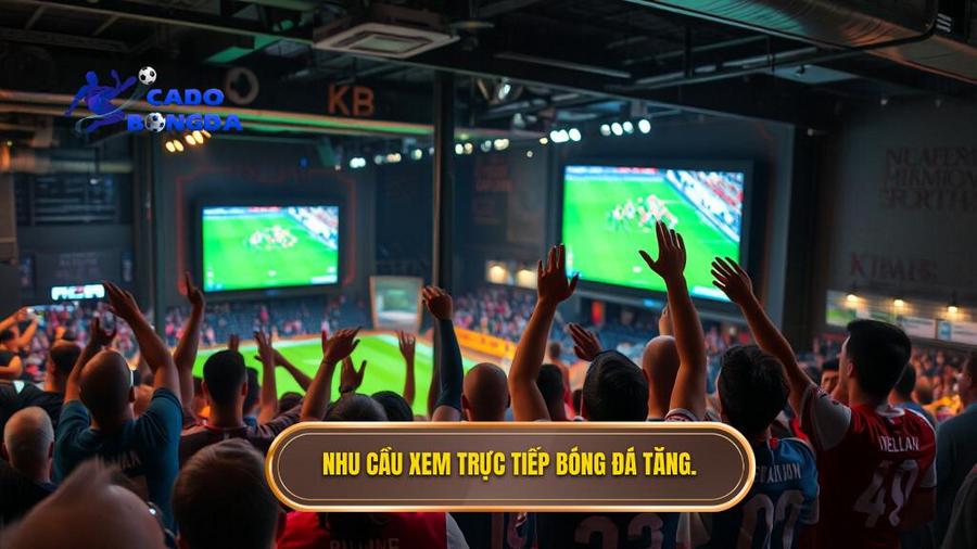 Tại sao nhu cầu xem trực tiếp bóng đá hôm nay ngày càng tăng cao?