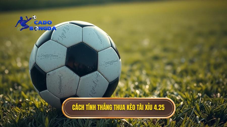 Kèo tài xỉu 4.25 là gì? Giải mã chi tiết và bí quyết chinh phục nhà cái 2 Cách tính thắng thua khi chơi kèo tài xỉu 4.25