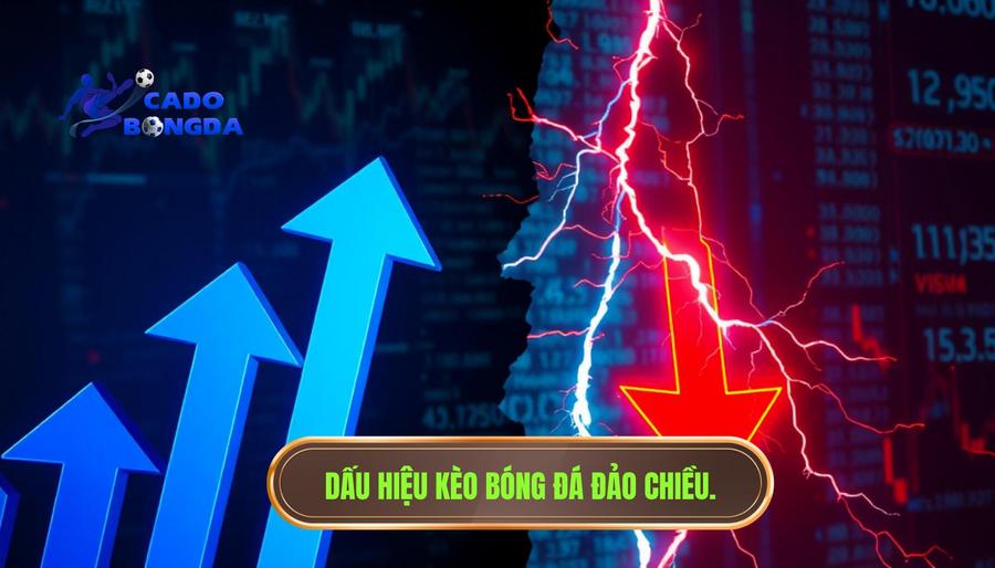 Thế nào là hiện tượng kèo hôm nay có thể đảo chiều?