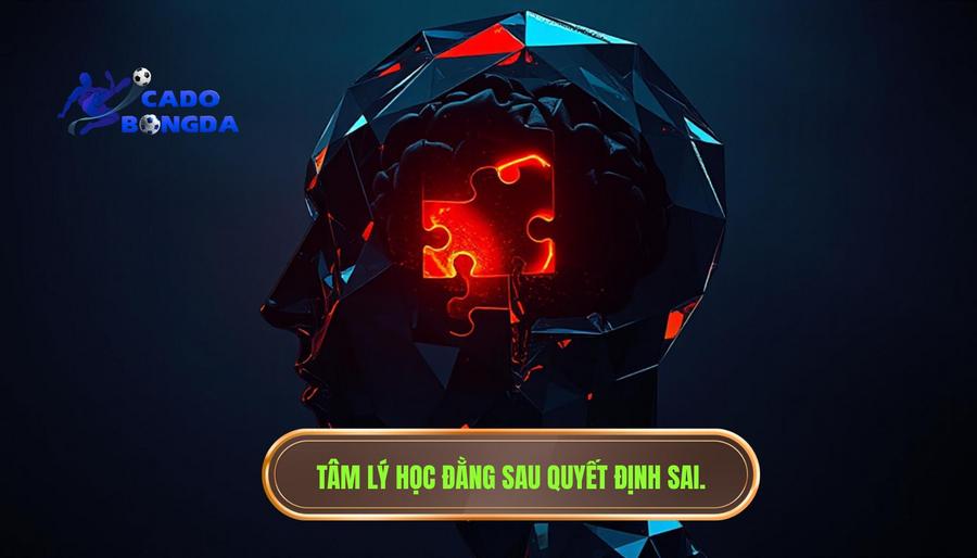 Phân tích đa chiều: Tâm lý học đằng sau những quyết định sai lầm