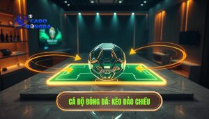 Kèo hôm nay có thể đảo chiều